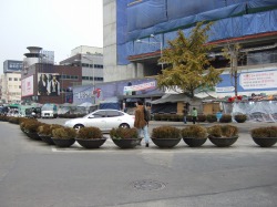 韓国